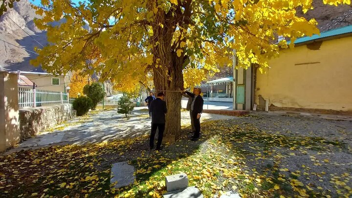 شناسایی آثار تاریخی در روستای حسنکدر