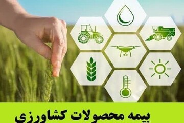 بیمه محصولات کشاورزی نسخه‌ای شفابخش یا عاملی برای دل‌زدگی کشاورز