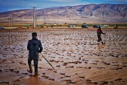 کشف ۴ دستگاه خودروی مفقودی در سیلاب نور/ تلفاتی گزارش نشد