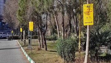 تبلیغات محیطی شهر اردبیل برای ارتقای نرخ مطالعه افزایش می‌یابد
