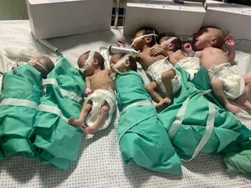 اسرائیلی بمباری میں نومولودوں سمیت 179 مریض ملبے میں دفن ہوگئے، ڈائریکٹر الشفا