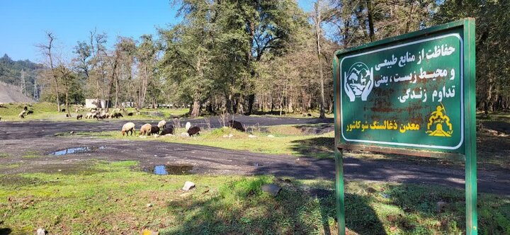 تقلای اهالی آمل برای نجات شورکاشور/ عمارت زباله نسازید