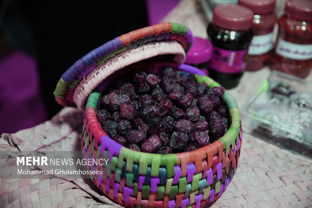 ۱۷ درصد از خرمای استان بوشهر صادر میشود ۱۷ درصد از خرمای استان بوشهر صادر میشود