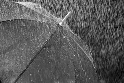 بیشترین میزان بارندگی در شهرستان دیر ثبت شد