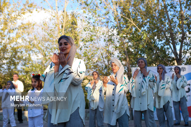 همایش تای چی علیه دیابت توسط کمیته تای چی فدراسیون ووشو جمهوری اسلامی ایران و با همکاری انجمن دیابت ایران، در بوستان جوانمردان تهران برگزار شد