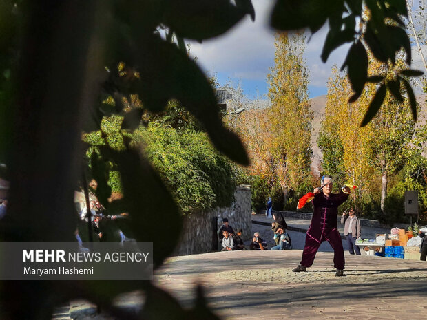 همایش تای چی علیه دیابت توسط کمیته تای چی فدراسیون ووشو جمهوری اسلامی ایران و با همکاری انجمن دیابت ایران، در بوستان جوانمردان تهران برگزار شد