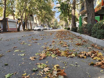 خیابان طالقانی بجنورد در برگ‌ریزان پاییز جلوه‌ای زیبا دارد