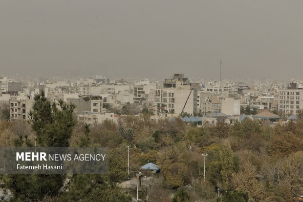 نفس مشهد تنگ است/ از ریشه‌ گرد و غبارها تا درمان آلودگی