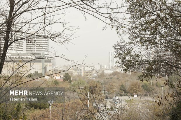 آهنگرزاده: دمای هوای مشهد امشب به ۱۴ درجه میرسد آهنگرزاده: دمای هوای مشهد امشب به ۱۴ درجه میرسد