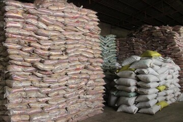۲۴۲۸ تن برنج در کرمان رفع توقیف شد