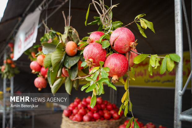 جشنواره «انار» ۱۱ آبان ماه در روستای نمهیل خلخال برگزار میشود جشنواره «انار» ۱۱ آبان ماه در روستای نمهیل خلخال برگزار میشود