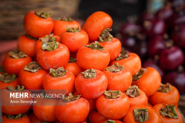 جشنواره انار و خرمالوی قصرالدشت شیراز