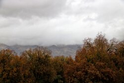 بارش باران در روستاهای فردیس