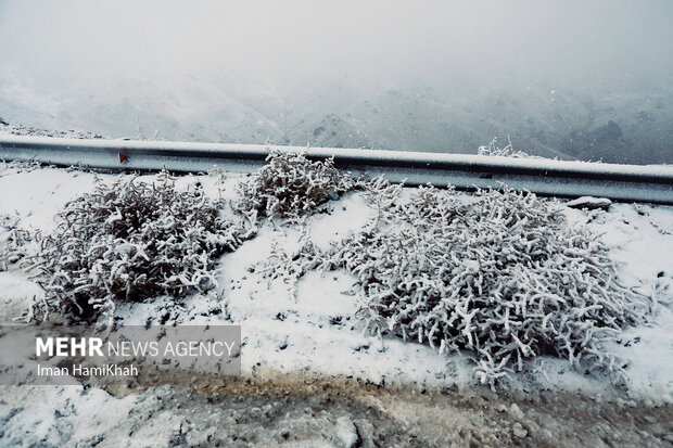 ایرانی صوبہ ہمدان میں موسم سرما کی پہلی برف باری
