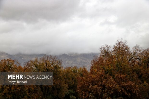 خزان بیبرفوباران/ زمستان کمکاری پاییز را جبران میکند؟