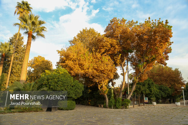 پاییز هفت رنگ شیراز