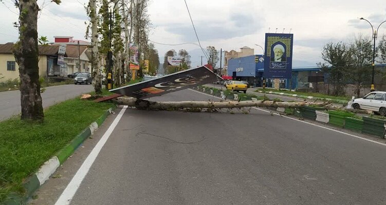 وزش باد شدید سبب سقوط ۱۲ اصله درخت در رشت شد وزش باد شدید سبب سقوط ۱۲ اصله درخت در رشت شد