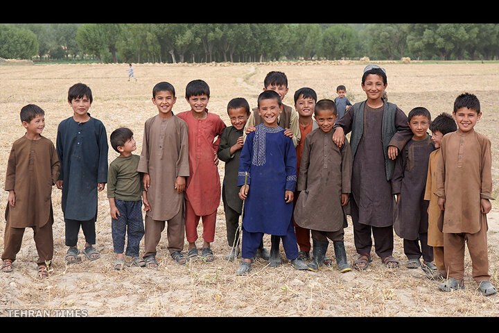 From opium fields to agricultural innovation: Afghanistan's journey towards a drug-free economy
