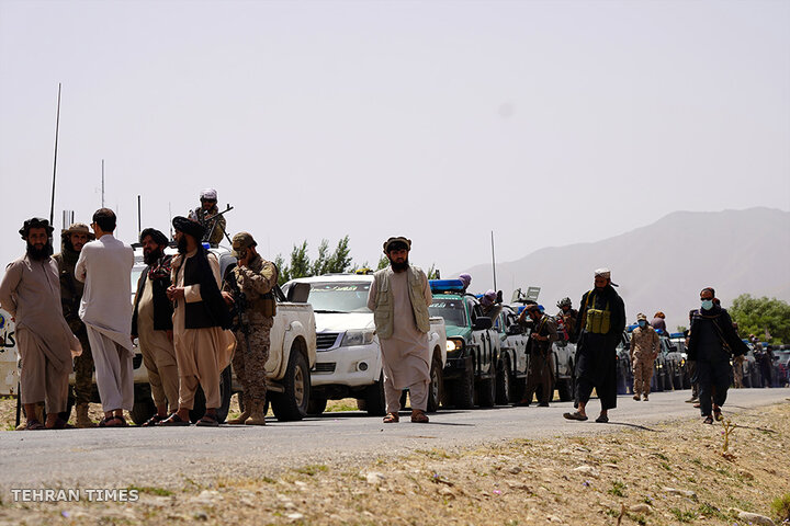 From opium fields to agricultural innovation: Afghanistan's journey towards a drug-free economy