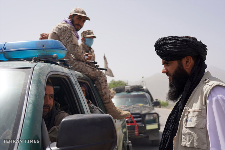 From opium fields to agricultural innovation: Afghanistan's journey towards a drug-free economy