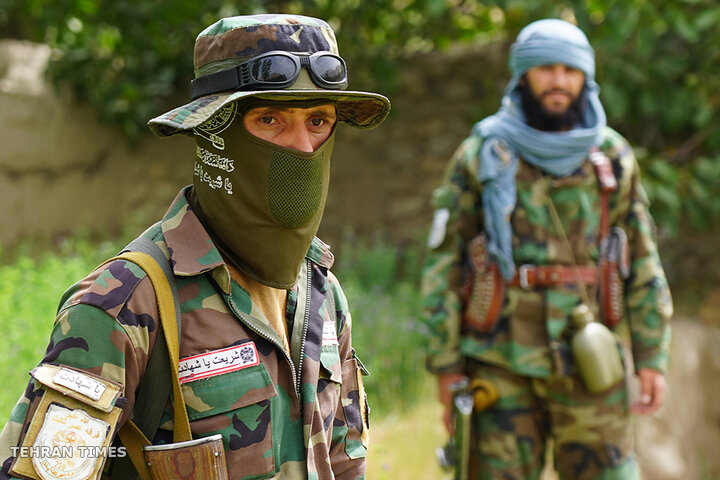 From opium fields to agricultural innovation: Afghanistan's journey towards a drug-free economy