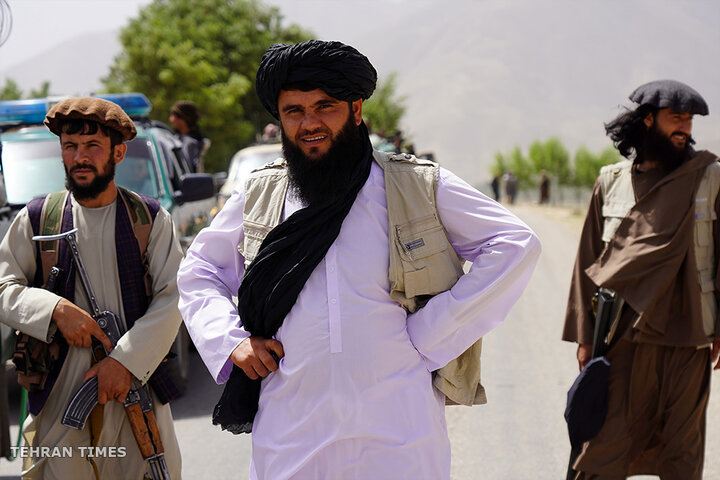 From opium fields to agricultural innovation: Afghanistan's journey towards a drug-free economy