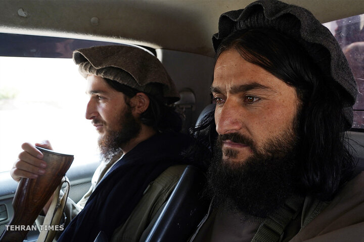 From opium fields to agricultural innovation: Afghanistan's journey towards a drug-free economy