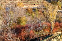 Kermanshah nature in Autumn