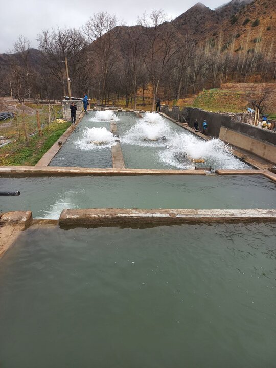 از ساخت کلبههای سوئیسی تا مهاجرت معکوس به بهشت گمشده ایران