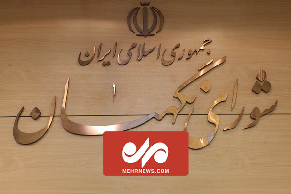 حضور خانواده نامزدها در خارج دلیل ردصلاحیت نیست حضور خانواده نامزدها در خارج دلیل ردصلاحیت نیست