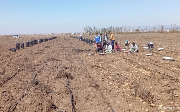 مرنی؛ روستایی با ظرفیت بالای تولید