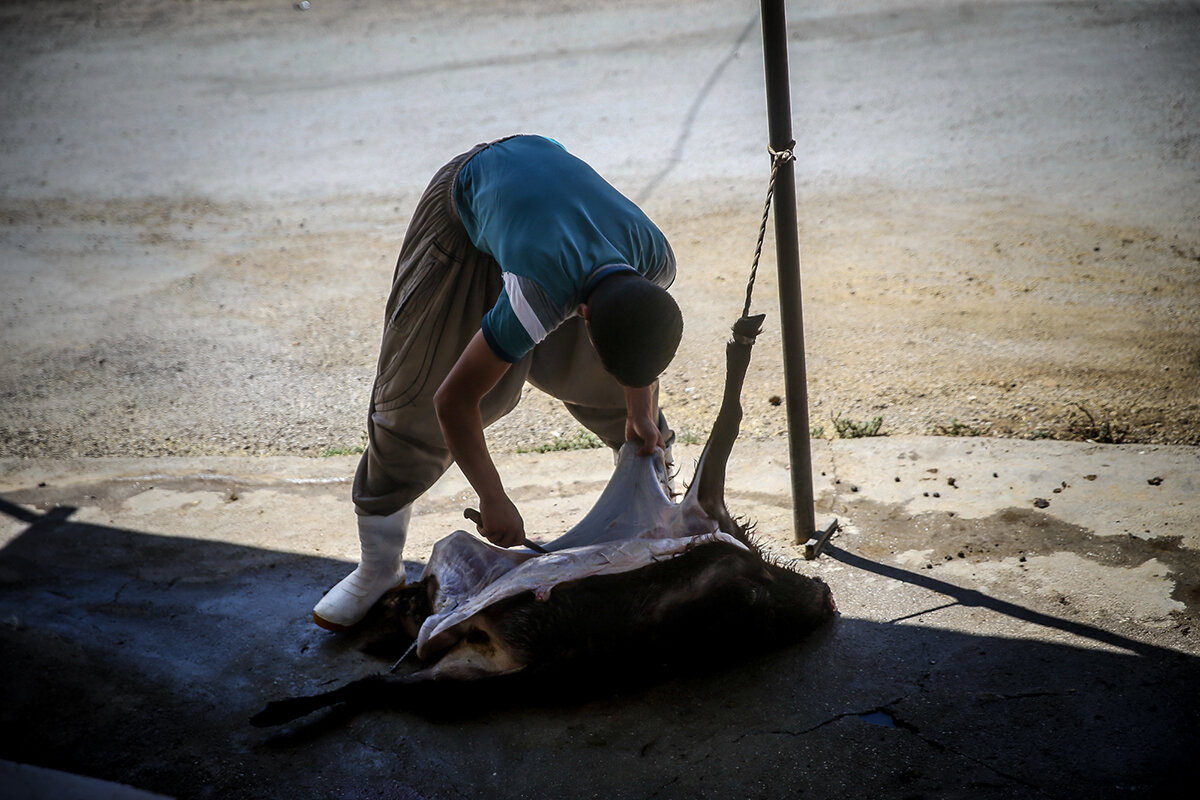 احداث کشتارگاه راهکاری برای کاهش ذبح در قصابی ها