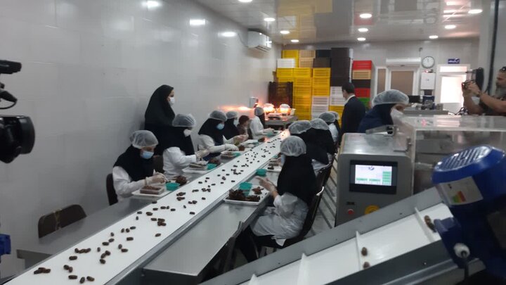 جهاد برای رفع محرومیت در بوشهر/از اشتغال ومعیشت تا آموزش وازدواج