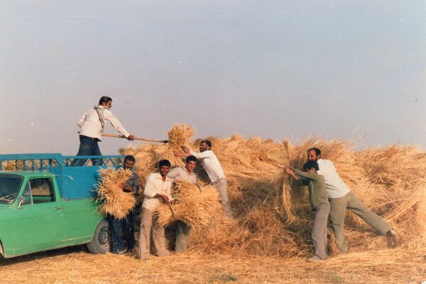 نهال بسیجی که امام آذر ۱۳۵۸ غرس کرده بود، در دفاع مقدس تنومند شد