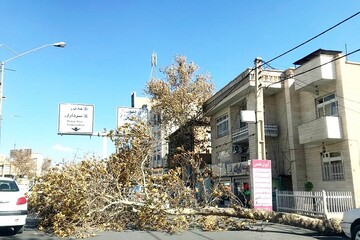 سرعت تندباد در ارومیه به۷۰ کیلومتردرساعت رسید/قطع برق در اثر باد