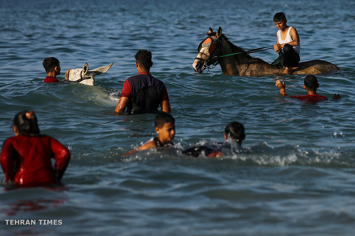 ‘Our only outlet’: Palestinians in Gaza go to the beach during Israel truce