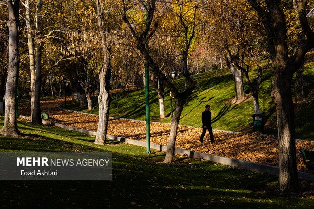 برگ‌های زرد و طبیعت پاییزی جلوه‌ای زیبا و خاص به چهره <a href='https://sayeb.ir/tag/%d9%be%d8%a7%d8%b1%da%a9-%d9%85%d9%84%d8%aa'>پارک ملت</a> تهران بخشیده است.