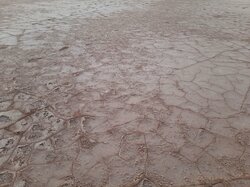 آخرین وضعیت تالاب گاوخونی؛ معادن «نمک» بر زخم بی‌آبی می‌پاشند