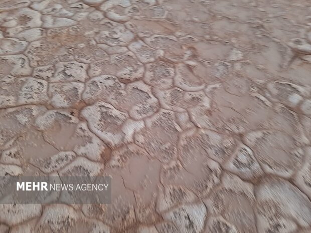 امید زایندهرود در غبار بی تصمیمی؛ نجات گاوخونی شاید وقت دیگر!