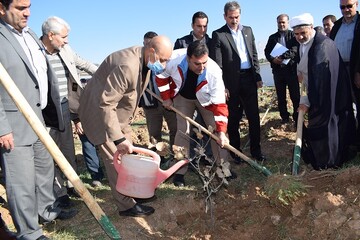 طرح کاشت ملی درخت در کرمانشاه با غرس ۷۶۰۰ اصله نهال آغاز شد