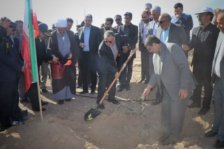 ۱۰ میلیون نهال در استان سمنان تولید می‌شود 