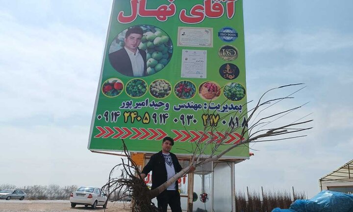با خرید ۱۰۰ عدد نهال ۲۰ نهال و پک کود از آقای نهال هدیه بگیرید