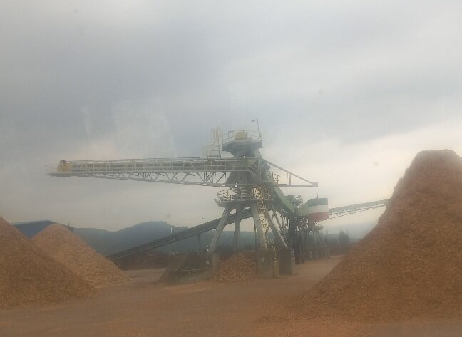 چرا سراغ واردات چوب نمیرویم؟