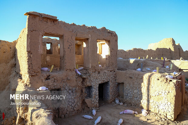 یادمان بزرگ فاطمی «یاس کبود»