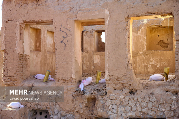 یادمان بزرگ فاطمی «یاس کبود»