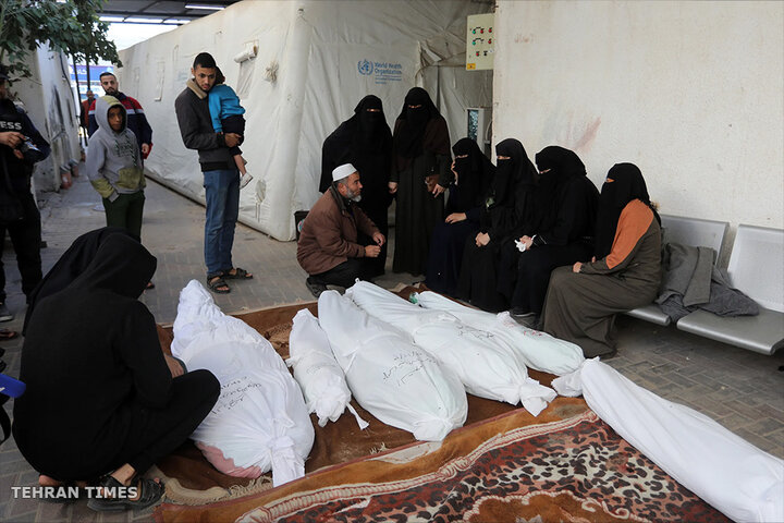 From north to south, nowhere safe in Gaza as 700 killed in 24 hours