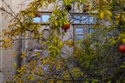 روستاهای یزد؛ ظرفیتی فراتر از سکونت برای گردشگری و اقتصاد محلی