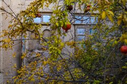روستاهای یزد؛ ظرفیتی فراتر از سکونت برای گردشگری و اقتصاد محلی