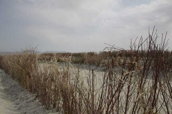 ۴درصد دریاچه ارومیه باقیمانده است/ تلاش برای حل بحران ادامه دارد