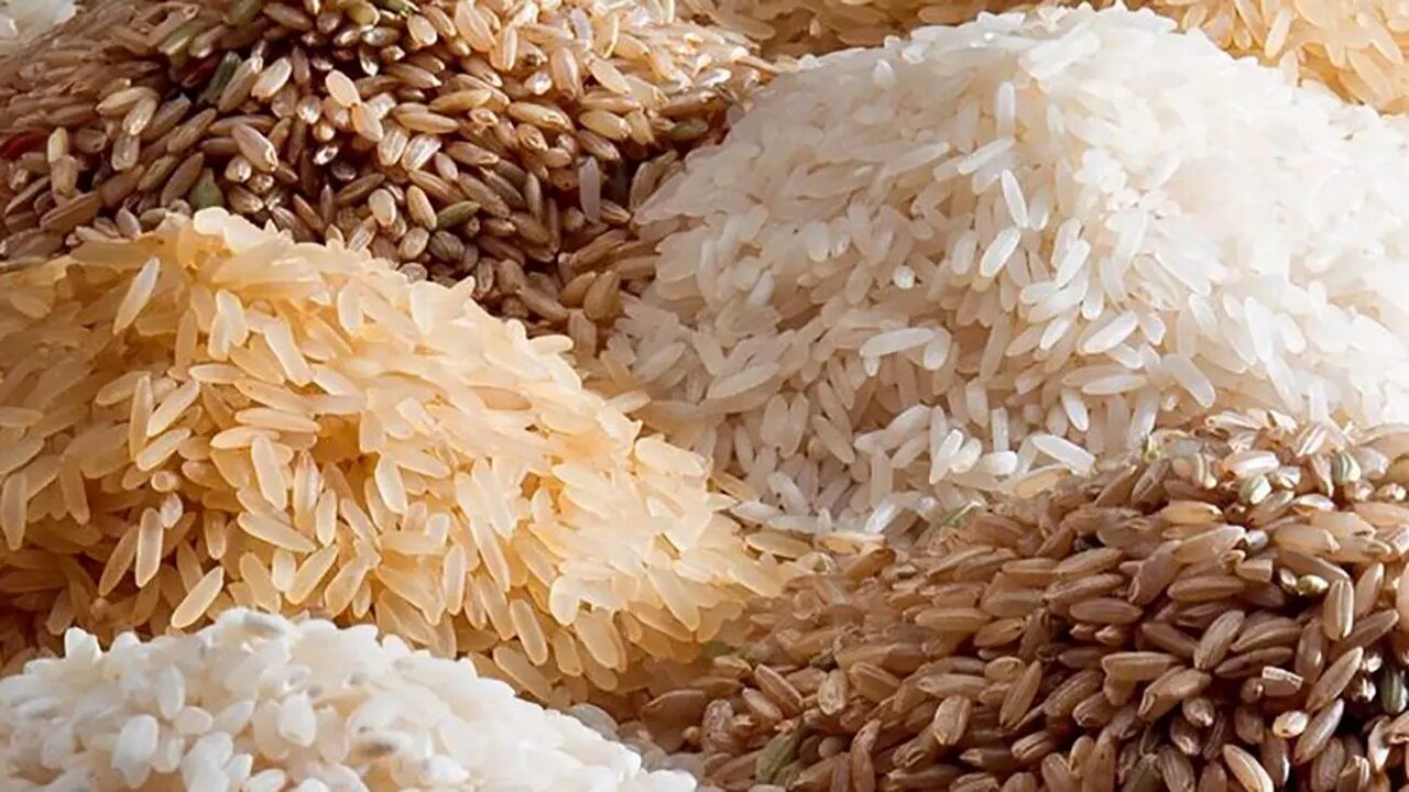 فسادی در واردات برنج نداشتیم/امسال کمتر از ۸۰۰هزارتن برنج وارد شد